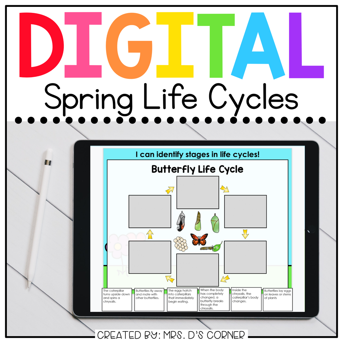 Spring Life Cycles Digital Activity Distance Learning