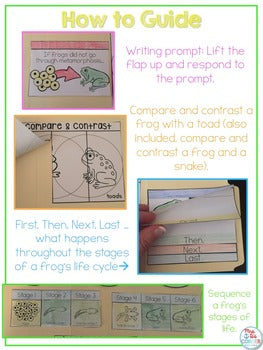 Life Cycle of a Frog Lapbook {with 13 foldables} Frog Life Cycle INB