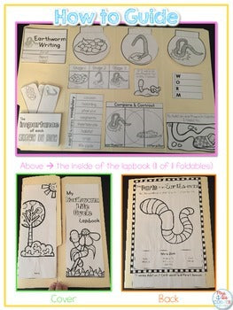 Life Cycle of an Earthworm Lapbook {with 11 foldables} Worm Life Cycle INB