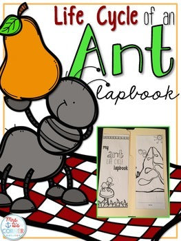 Life Cycle of an Ant Lapbook {with 12 foldables} Ant Life Cycle INB