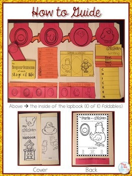 Life Cycle of a Chicken Lapbook {with 10 foldables} Chicken Life Cycle INB