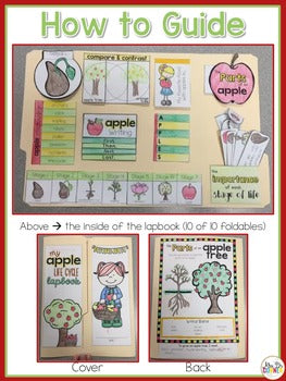 Life Cycle of an Apple Lapbook {with 10 foldables} Apple Tree Life Cycle INB