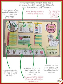 Life Cycle of an Apple Lapbook {with 10 foldables} Apple Tree Life Cycle INB
