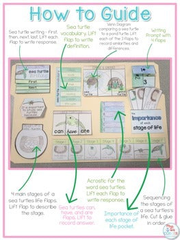 Life Cycle of a Sea Turtle Lapbook {with 12 foldables} Sea Turtle Life Cycle INB