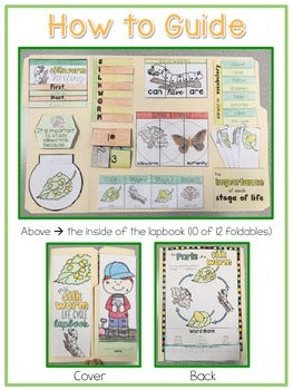 Life Cycle of a Silkworm Lapbook {with 12 foldables} Silkworm Life Cycle INB