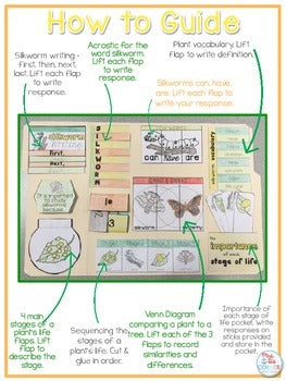 Life Cycle of a Silkworm Lapbook {with 12 foldables} Silkworm Life Cycle INB