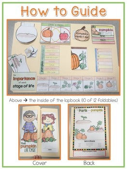 Life Cycle of a Pumpkin Lapbook {with 13 foldables} Pumpkin Life Cycle INB