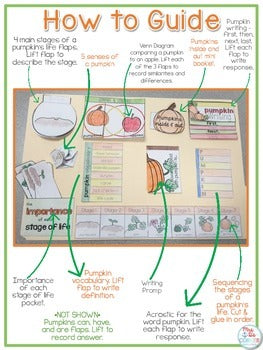 Life Cycle of a Pumpkin Lapbook {with 13 foldables} Pumpkin Life Cycle INB