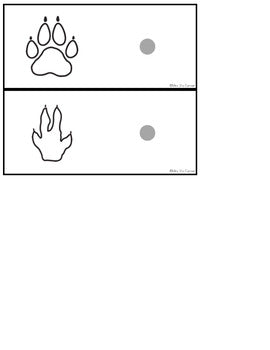Animal Tracks Task Boxes ( 3 versions ) | Task Boxes for Special Education
