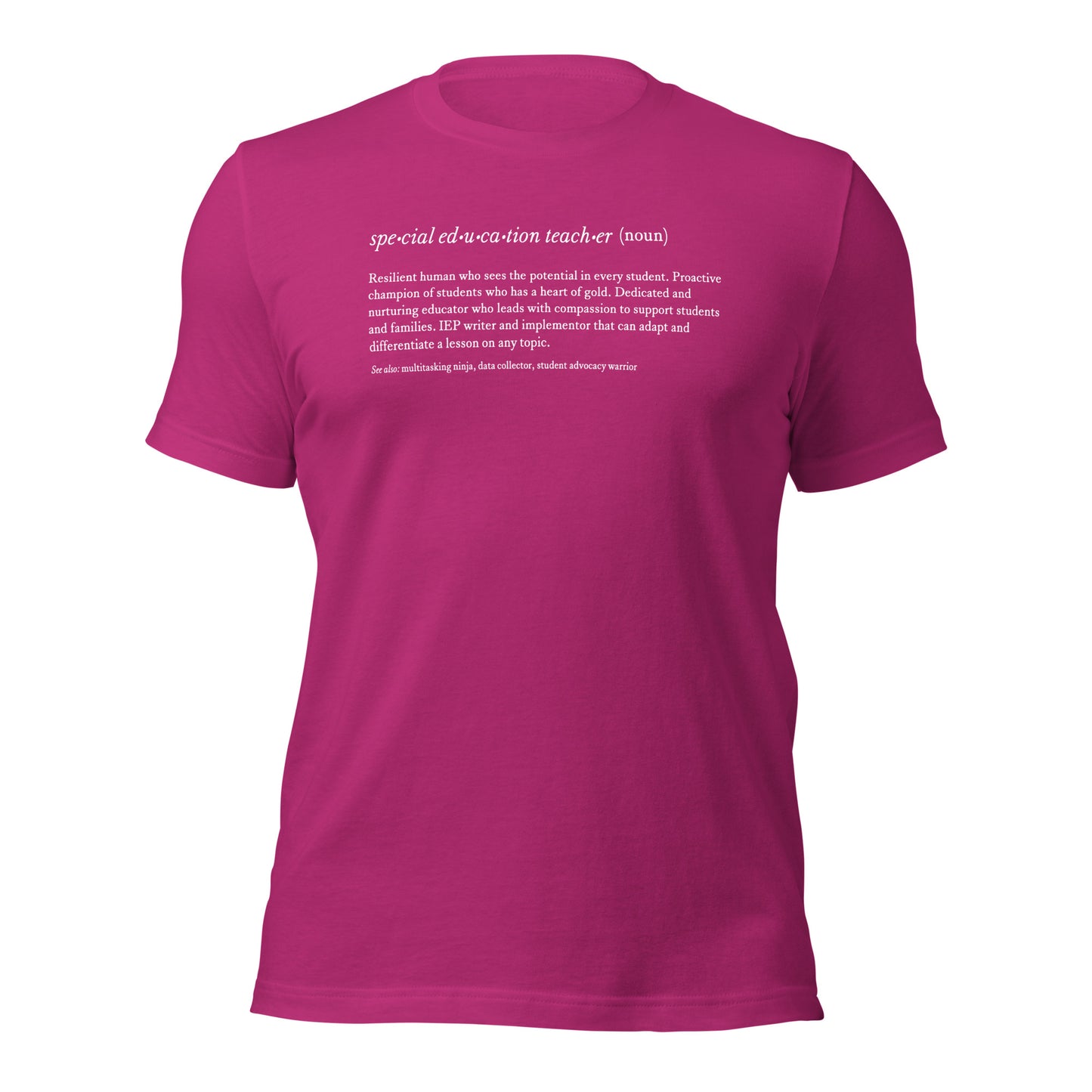 Special Education Teacher Noun Teacher Tee