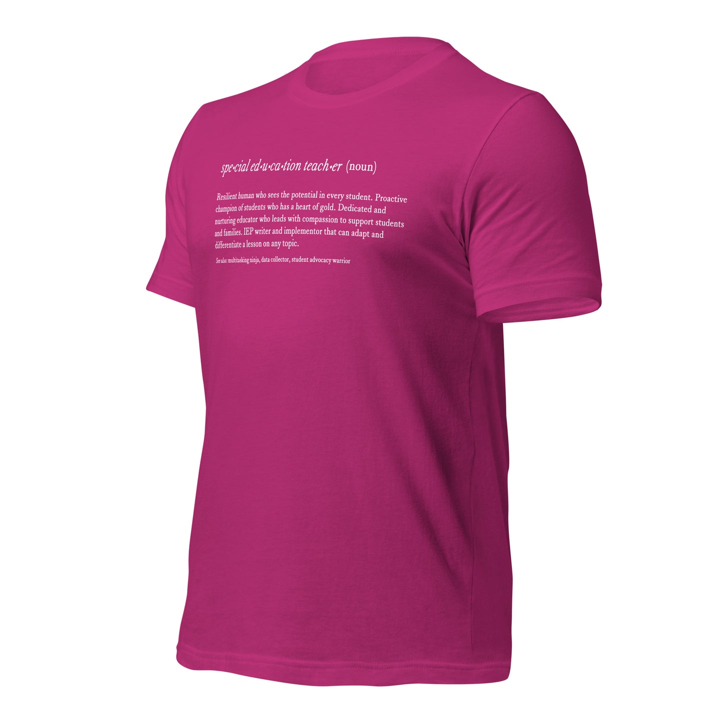 Special Education Teacher Noun Teacher Tee