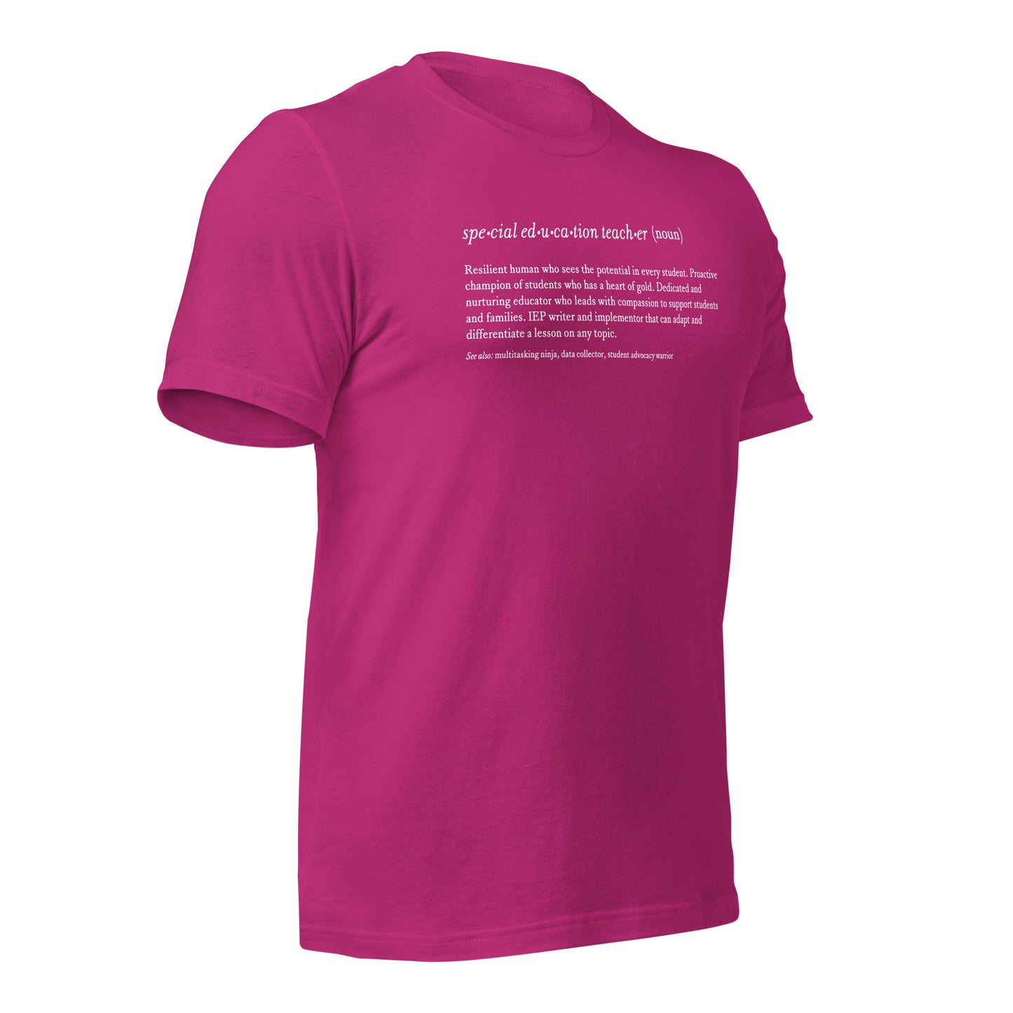 Special Education Teacher Noun Teacher Tee