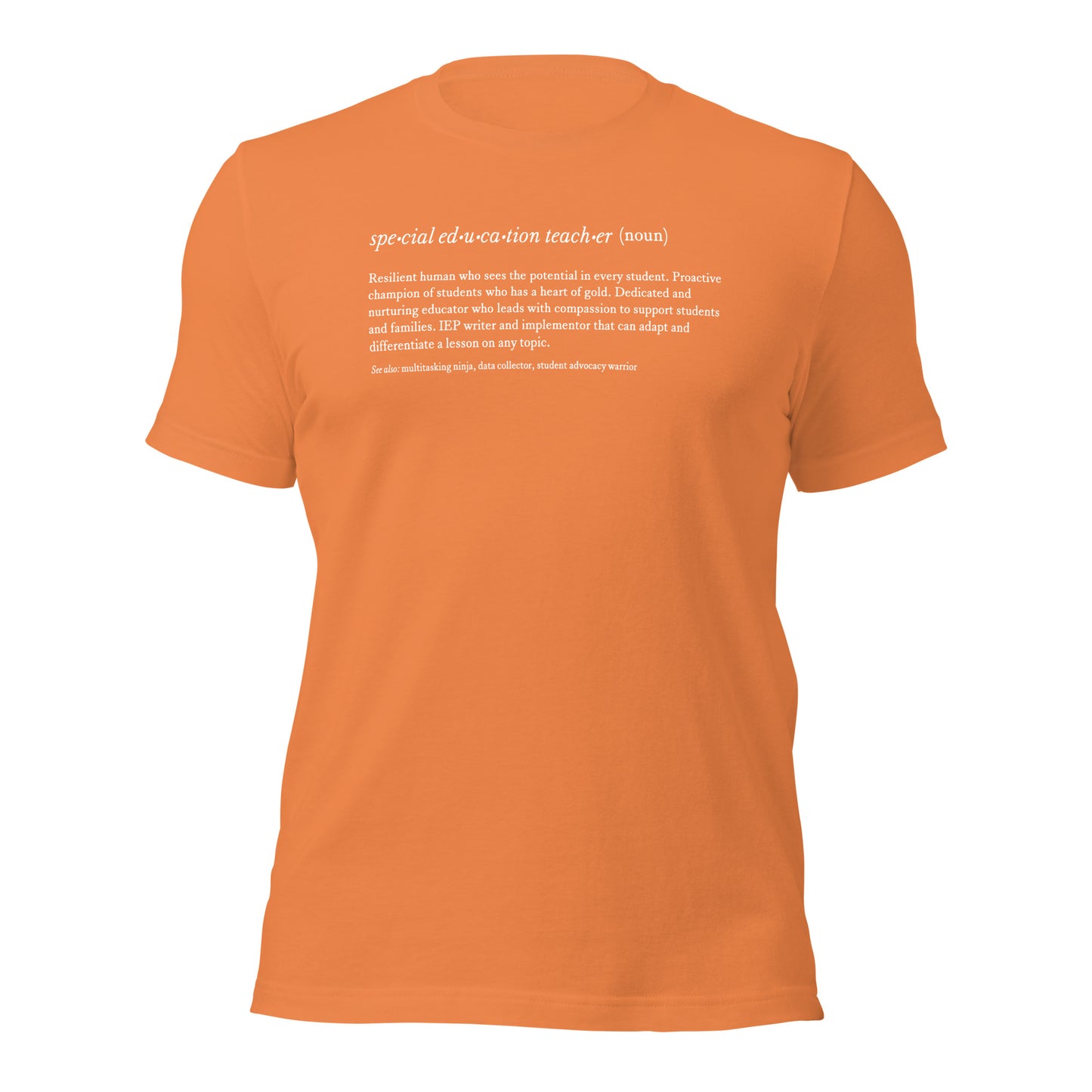 Special Education Teacher Noun Teacher Tee
