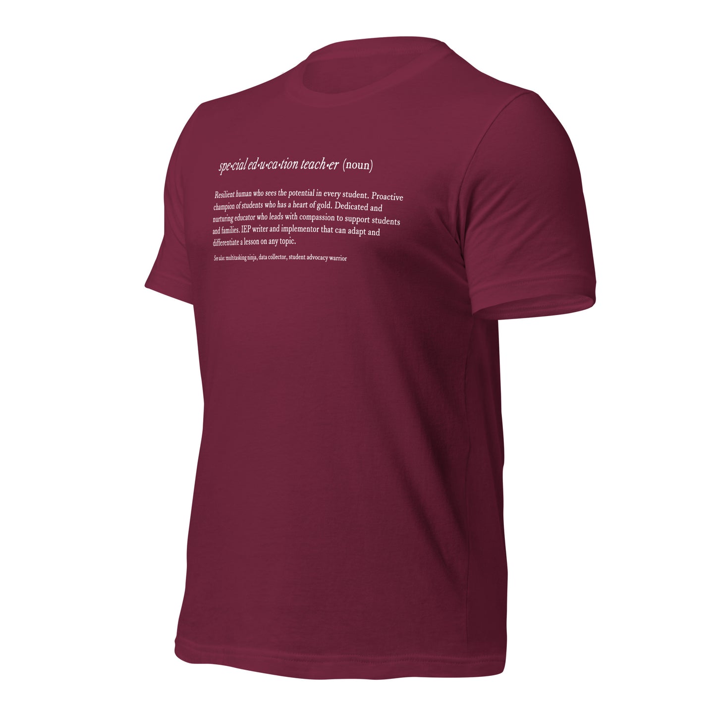 Special Education Teacher Noun Teacher Tee