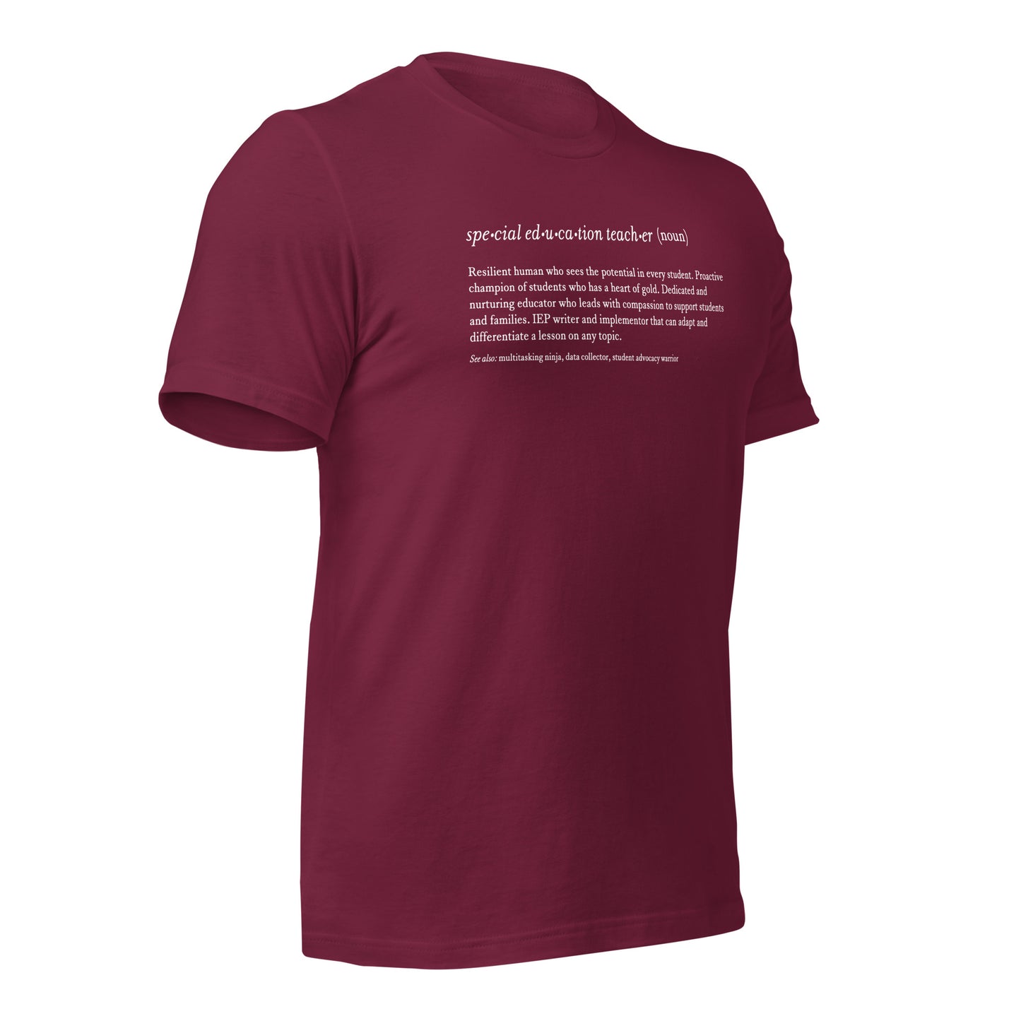 Special Education Teacher Noun Teacher Tee