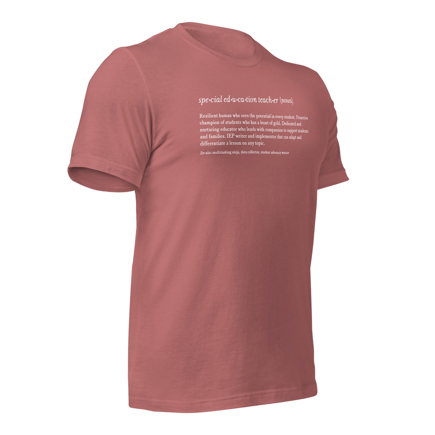 Special Education Teacher Noun Teacher Tee