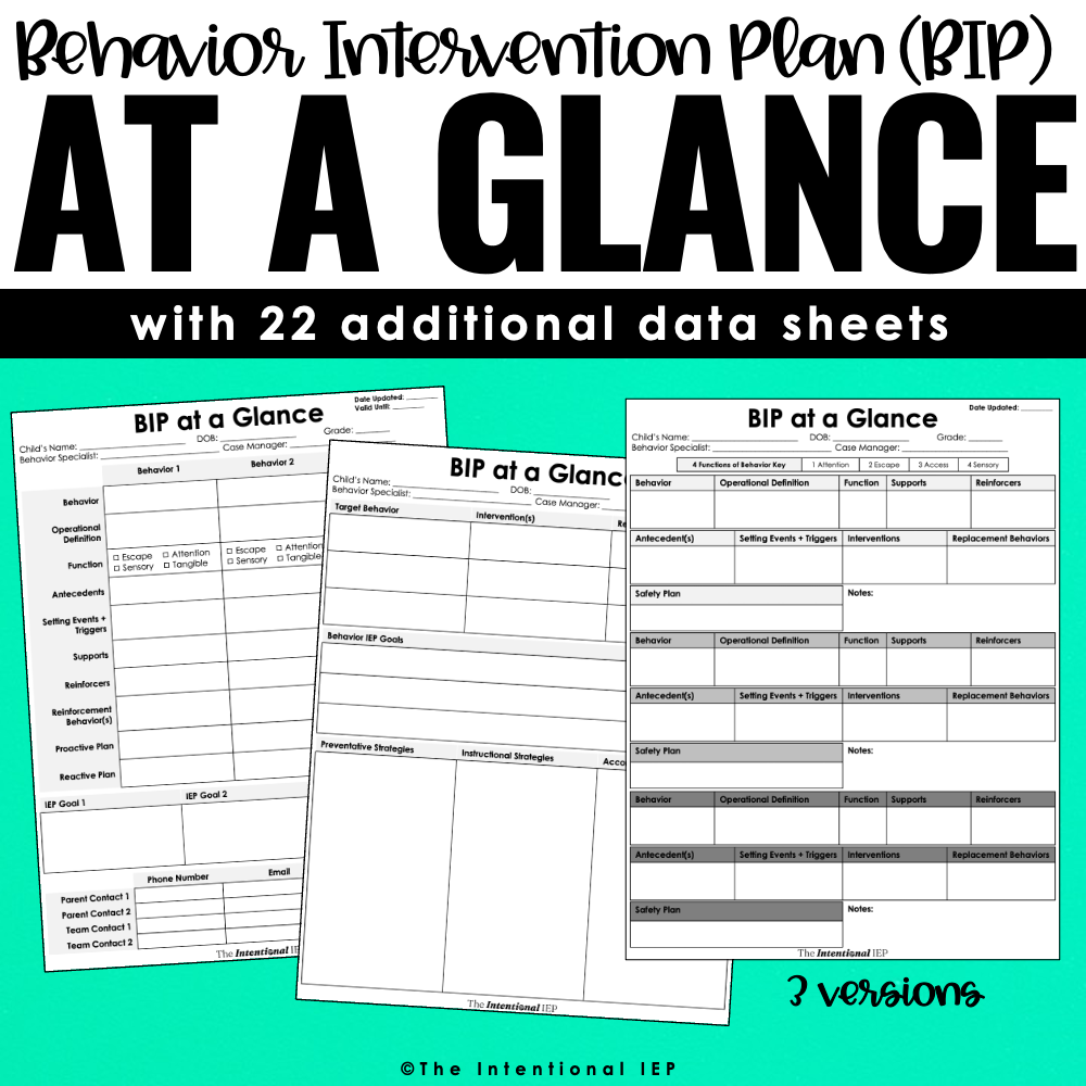 Editable Behavior Intervention Plan (BIP) at a Glance | BIP Snapshot