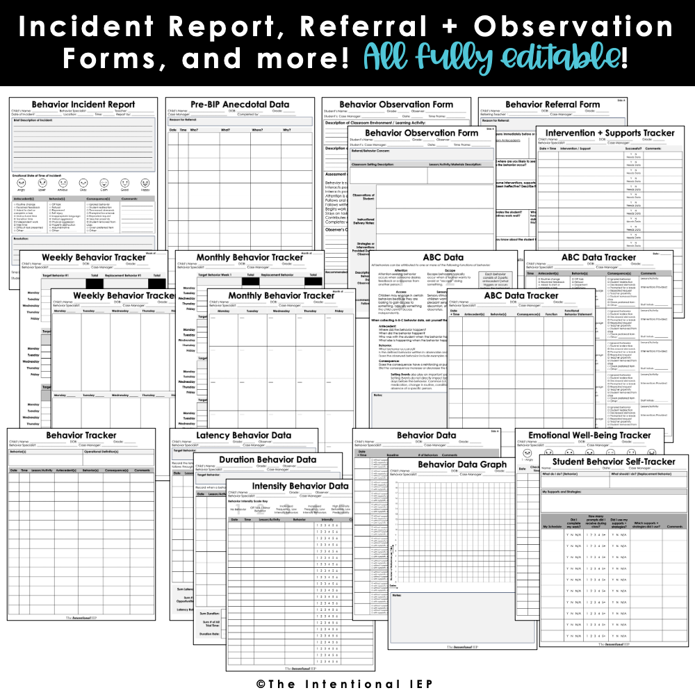 Bip Form Example Editable Behavior Intervention Plan (BIP) at a Glance | BIP Snapshot ...