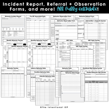 Load image into Gallery viewer, Editable Behavior Intervention Plan (BIP) at a Glance | BIP Snapshot