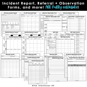 Editable Behavior Intervention Plan (BIP) at a Glance | BIP Snapshot