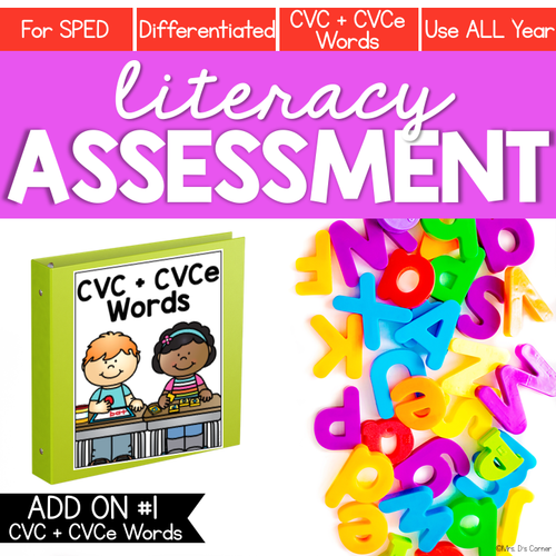 CVC and CVCe Word Lists Literacy Assessment ADD ON #1