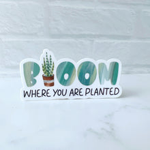 Load image into Gallery viewer, Bloom Where You Are Planted Sticker