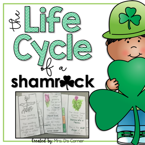 Life Cycle of a Shamrock Flip Flap Booklet [Differentiated]