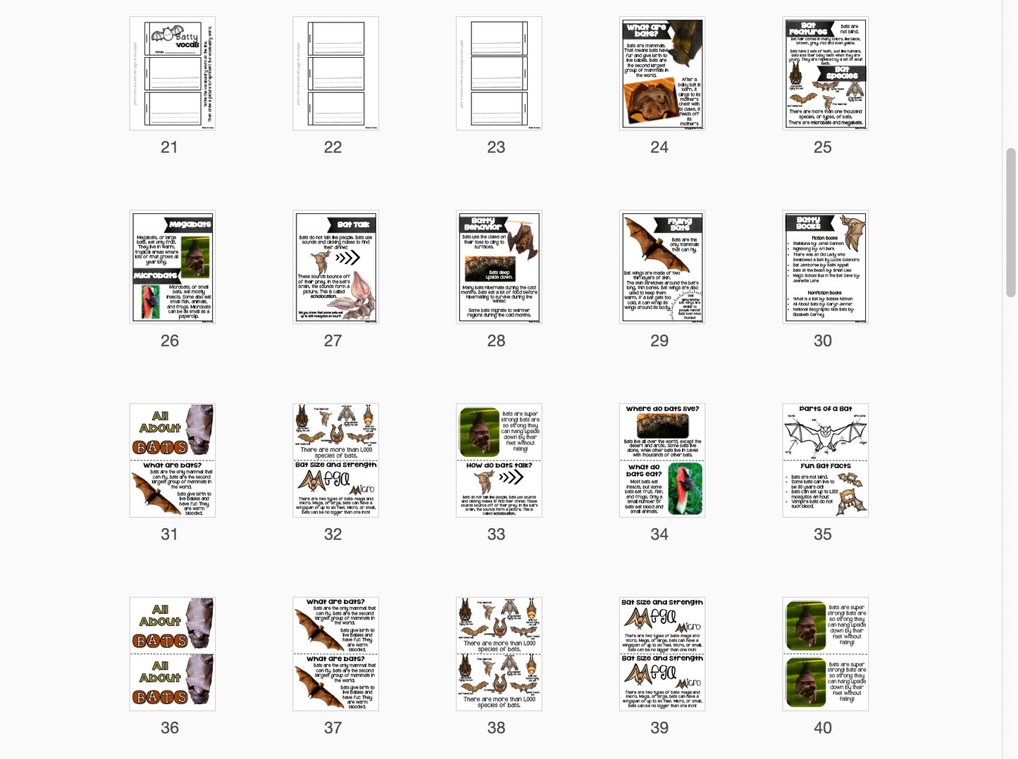 All About Bats Unit | Cross-Curricular Unit of Study about Bats