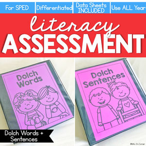 Dolch Words + Sentences Assessment, Writing - Literacy Reading Assessment