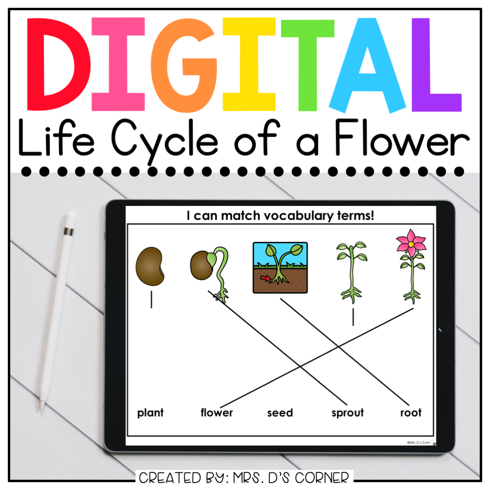 Life Cycle of a Flower Digital Basics for Special Ed | Distance Learning