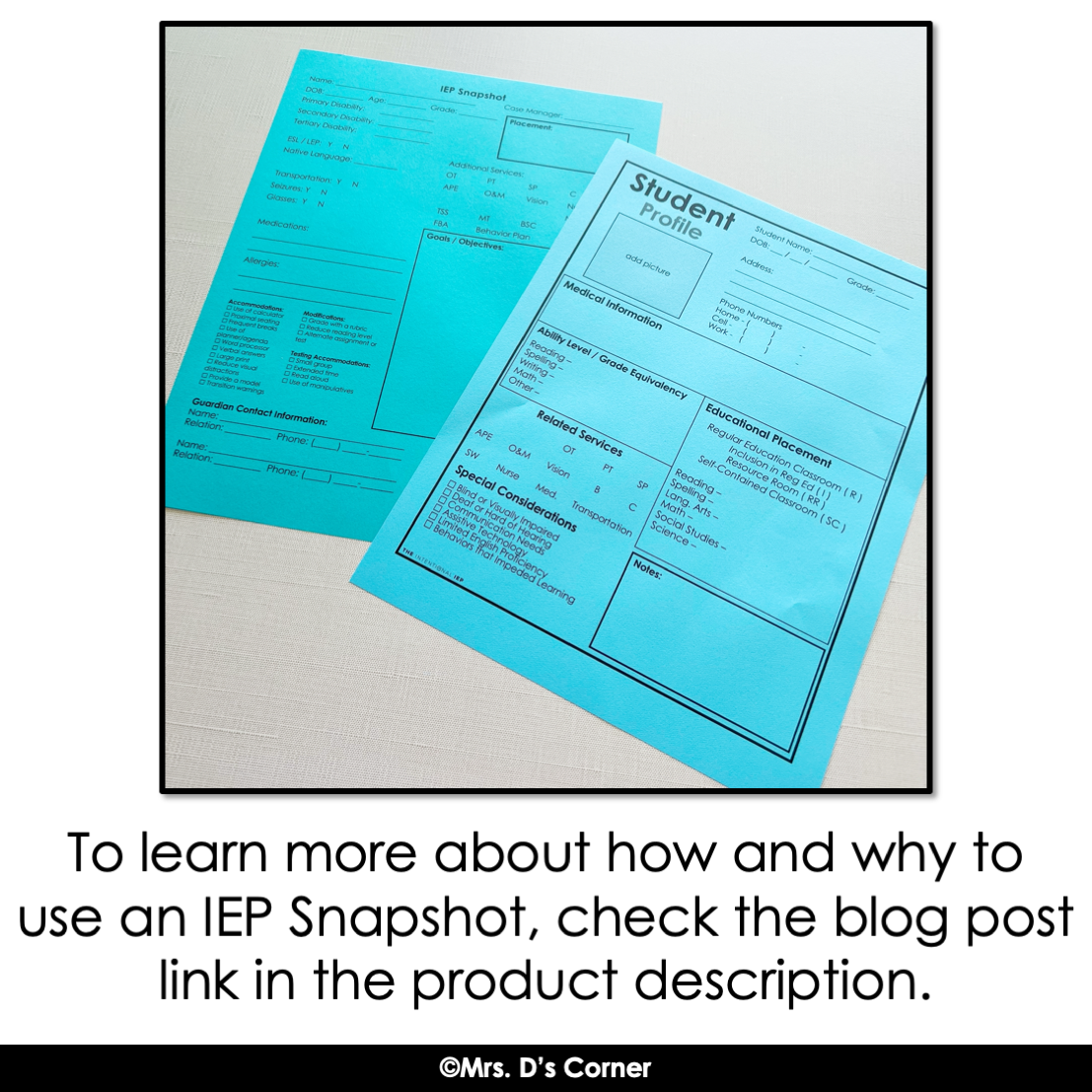 Editable IEP Snapshot - IEP at a Glance - IEP Data Sheet