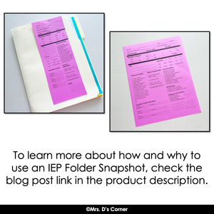 Editable IEP Folder Snapshot - Editable IEP Audit Form