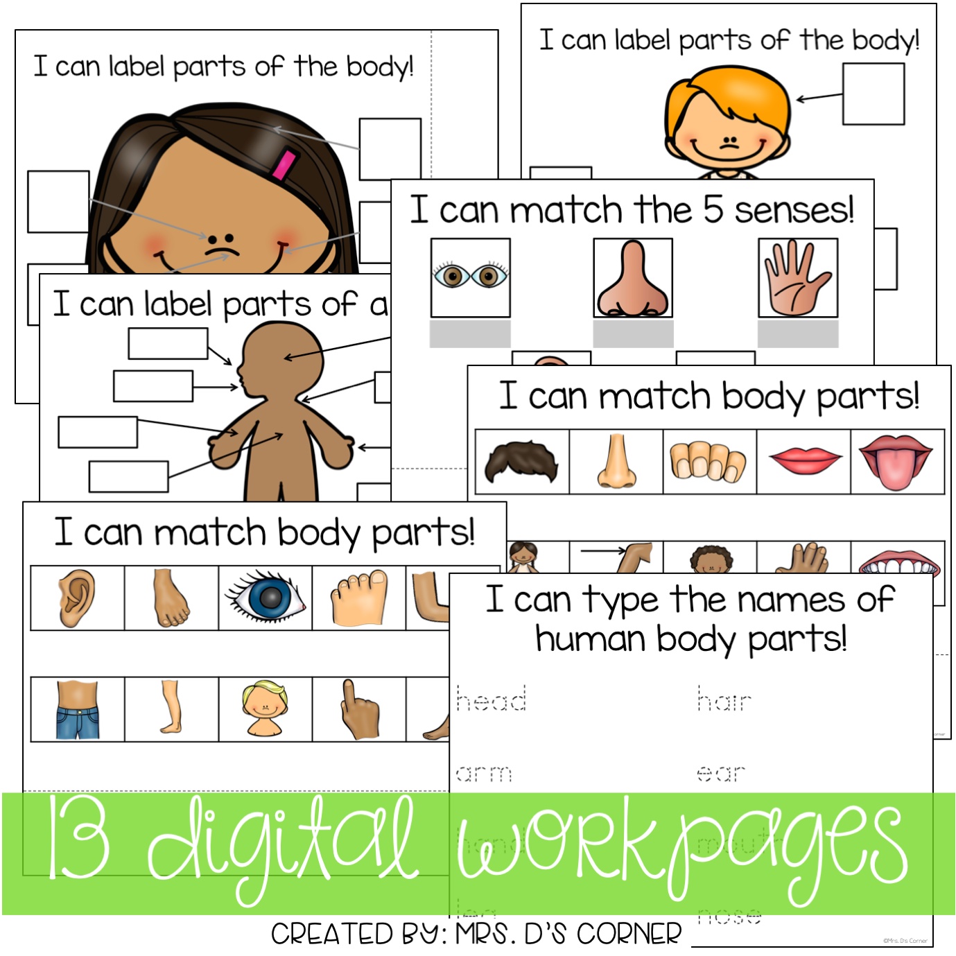 DIGITAL Adapted Work Binder ( Human Body Parts )