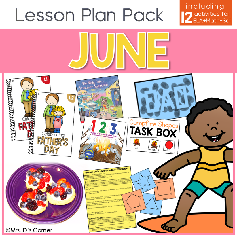 June Partner Math Activity June Lesson Plan Pack | 12 Activities for Math, ELA, + Science – mrsdsshop