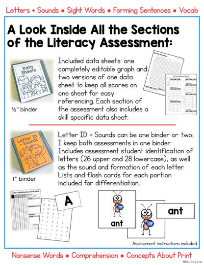 BUNDLE of Literacy and Math Assessments for K-3