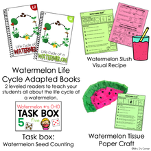 Load image into Gallery viewer, July Lesson Plan Pack | 12 Activities for Math, ELA, + Science