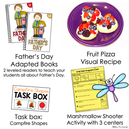 June Lesson Plan Pack | 12 Activities for Math, ELA, + Science