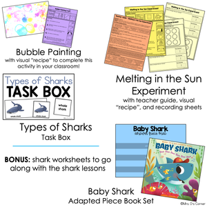 July Lesson Plan Pack | 12 Activities for Math, ELA, + Science