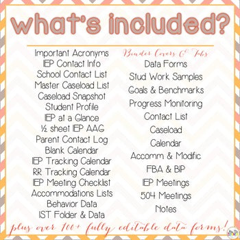 The Ultimate Special Education Binder | Chevron [editable] IEP Binder