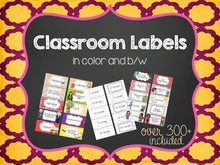Load image into Gallery viewer, Classroom Set of Labels 2x4 - Color and B/W { Avery Label #8163 }
