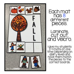 Seasons Sorting Mats [4 mats!] for Students with Special Needs