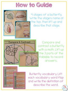 Life Cycle of a Butterfly Lapbook {with 12 foldables} Butterfly Life Cycle INB