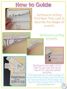 Life Cycle of an Earthworm Lapbook {with 11 foldables} Worm Life Cycle INB