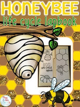 Load image into Gallery viewer, Life Cycle of a Bee Lapbook {with 12 foldables} Honeybee Life Cycle INB
