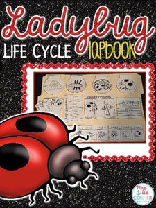 Life Cycle of a Ladybug Lapbook {with 10 foldables} Ladybug Life Cycle INB