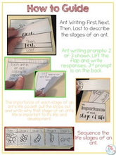 Load image into Gallery viewer, Life Cycle of an Ant Lapbook {with 12 foldables} Ant Life Cycle INB