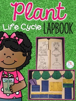 Life Cycle of a Plant Lapbook {with 10 foldables} Flower Life Cycle INB