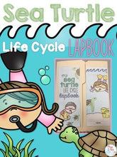 Load image into Gallery viewer, Life Cycle of a Sea Turtle Lapbook {with 12 foldables} Sea Turtle Life Cycle INB