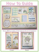 Load image into Gallery viewer, Life Cycle of a Sea Turtle Lapbook {with 12 foldables} Sea Turtle Life Cycle INB