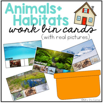 Work Bin Task Cards - Animal Habitats (72 cards with 4 levels)